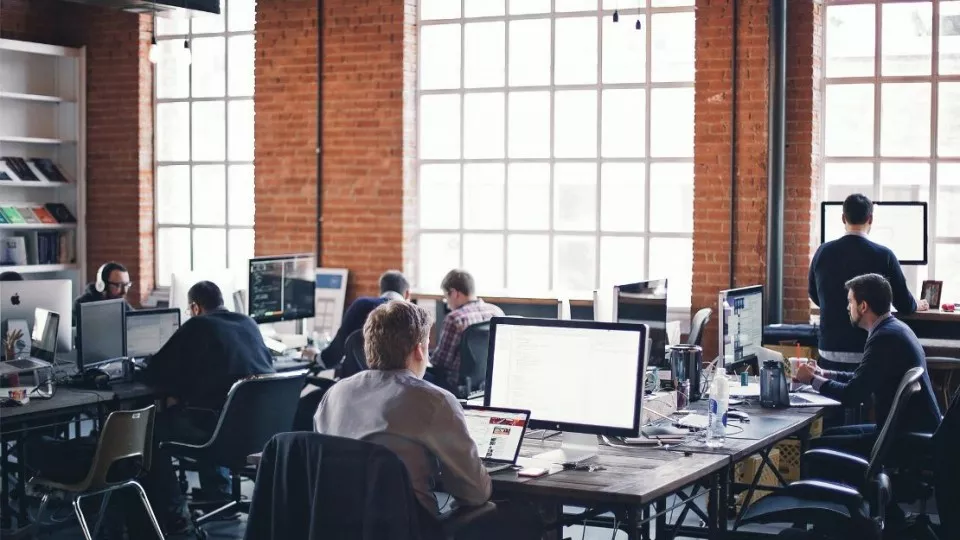 Как выбрать веб-студию в Пикалёво по кейсам