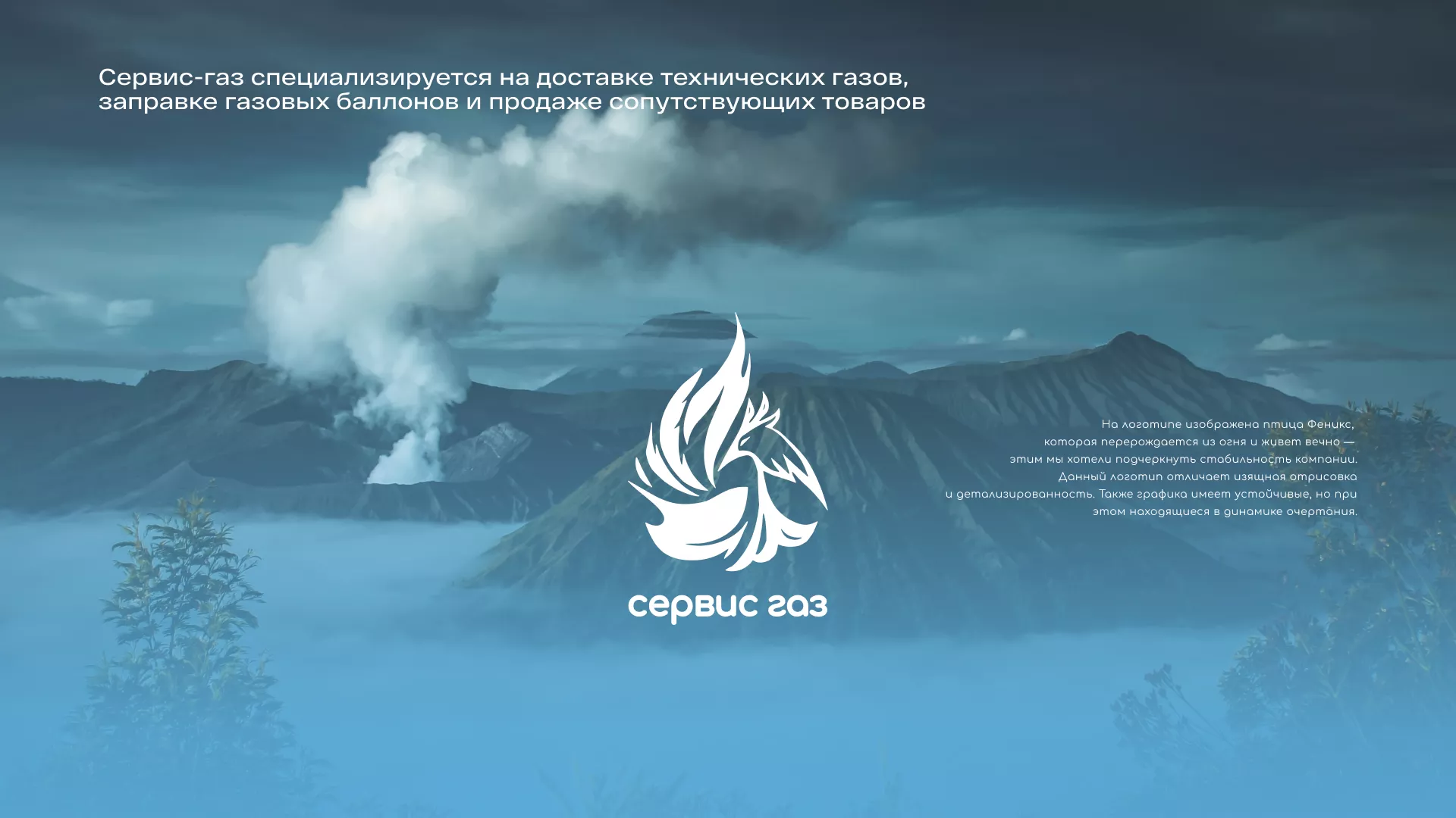 Создание сайта компании «Сервис газ» в Пикалёво