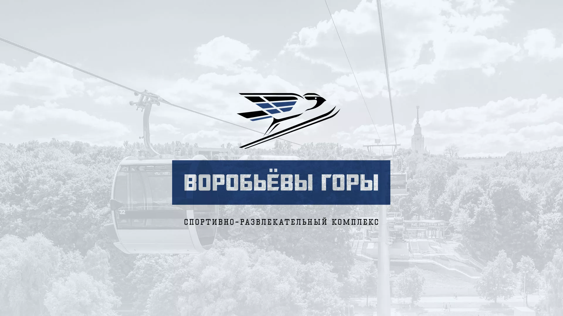 Разработка сайта в Пикалёво для спортивно-развлекательного комплекса «Воробьёвы горы»