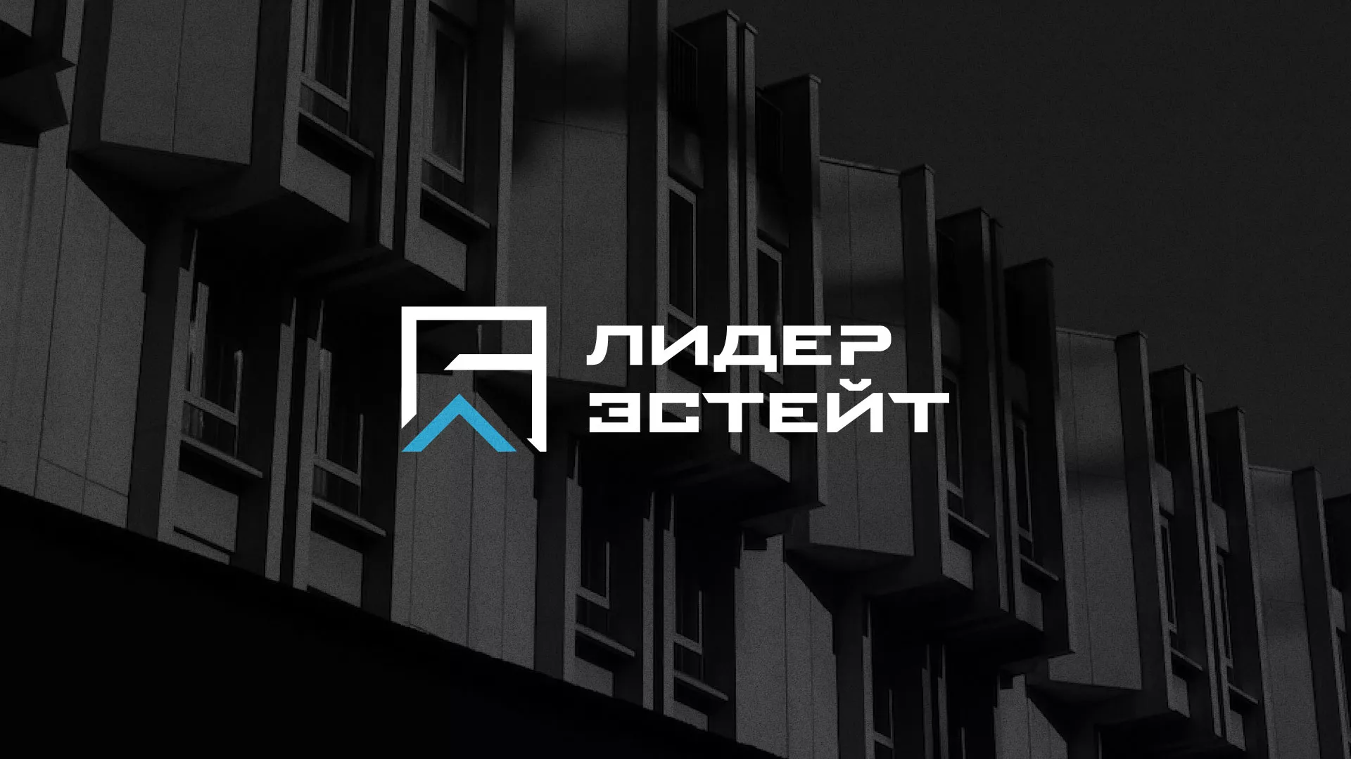 Разработка логотипа агентства недвижимости «Лидер Эстейт» в Пикалёво