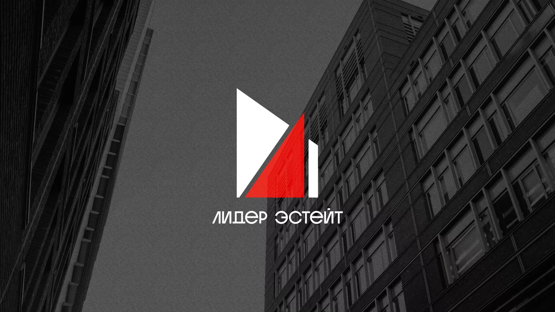 Сделали логотип для агентства недвижимости «Лидер Эстейт» в Пикалёво